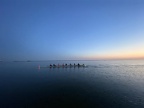 IMG 4121